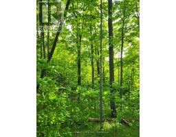 81 Silver Heights Drive, Trent Hills, ON K0L1Y0 Photo 22
