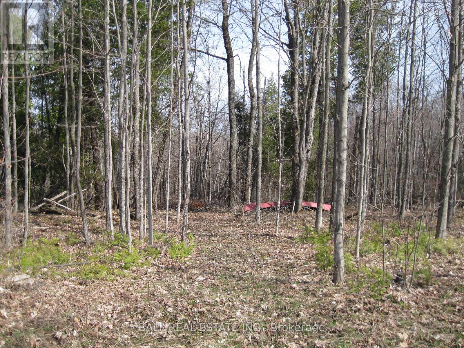 81 SILVER HEIGHTS DRIVE — photo 17