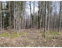 81 Silver Heights Drive, Trent Hills, ON K0L1Y0 Photo 17