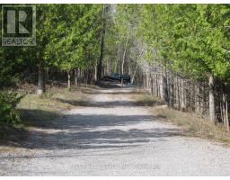 81 Silver Heights Drive, Trent Hills, ON K0L1Y0 Photo 19