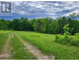 81 Silver Heights Drive, Trent Hills, ON K0L1Y0 Photo 20