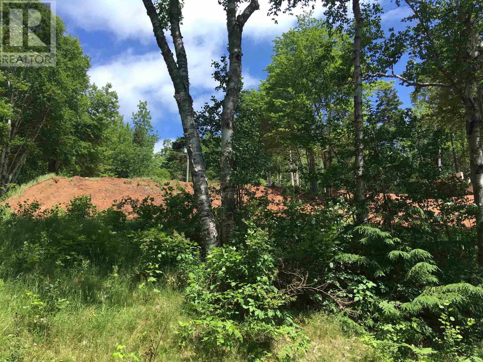 124 Dunning Lane — photo 17