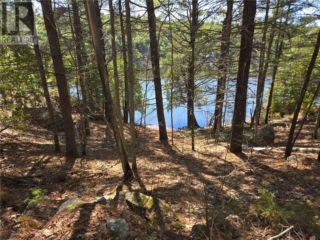 2062B Highway 64, Alban, Ontario, P0M1A0 — Photo 6