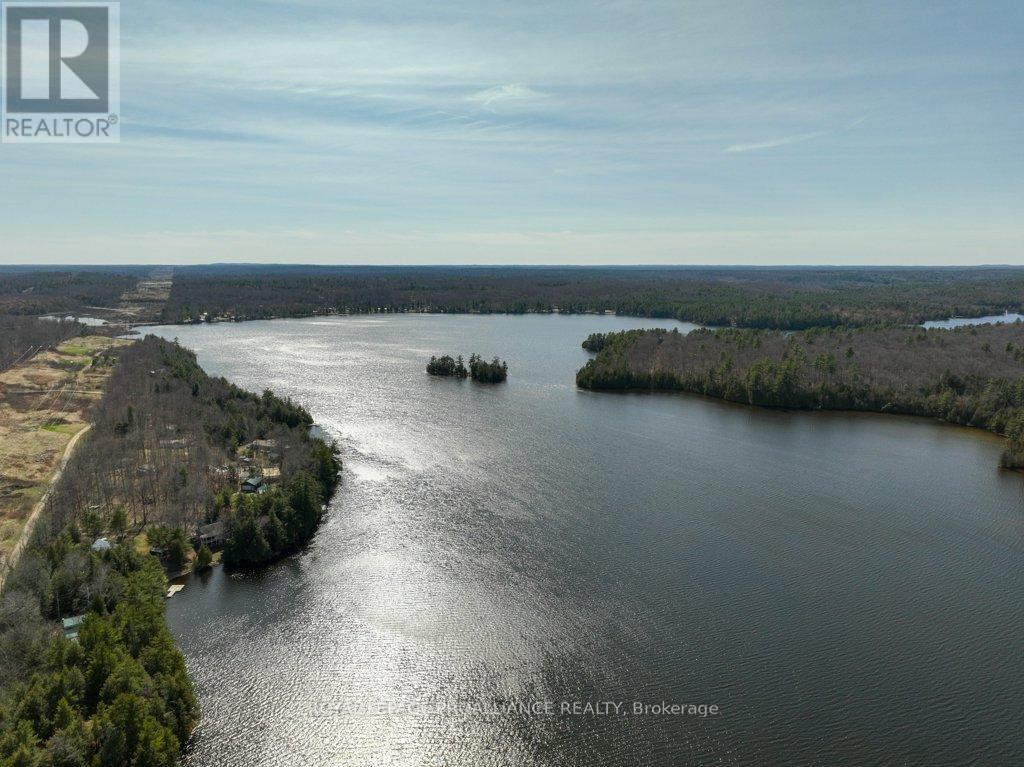 1063 PERRY ROAD — photo 34