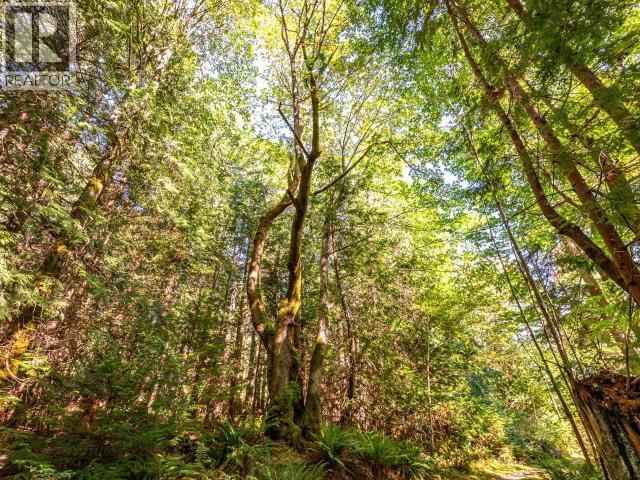 12683 HIGHWAY 101 - 14