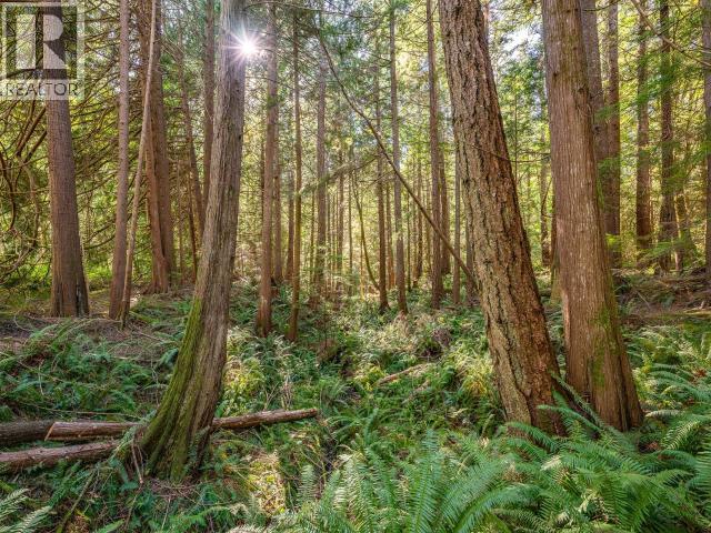 12683 HIGHWAY 101 - 17