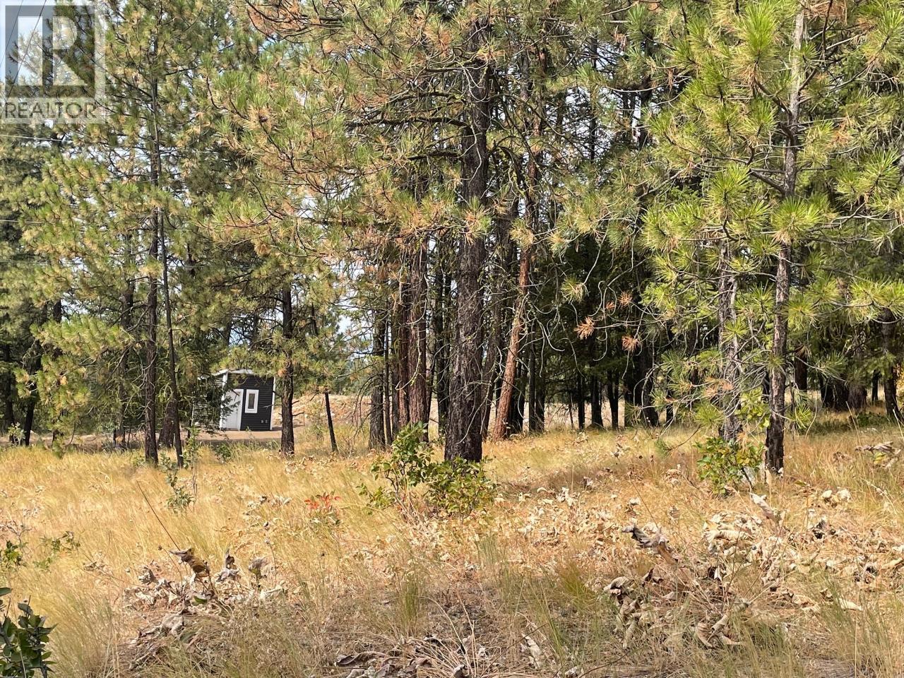 100 Cougar Court, Osoyoos