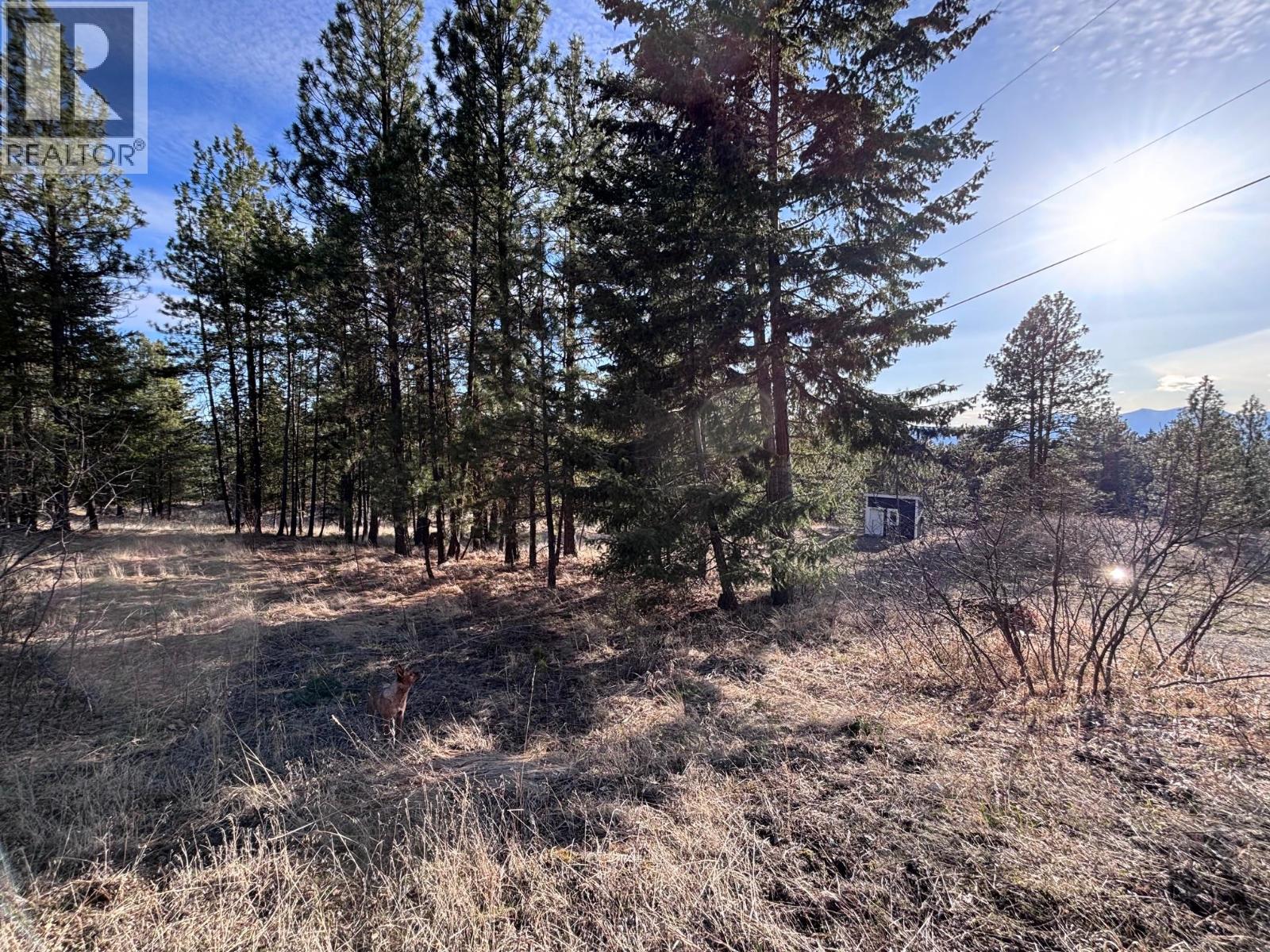 100 Cougar Court, Osoyoos