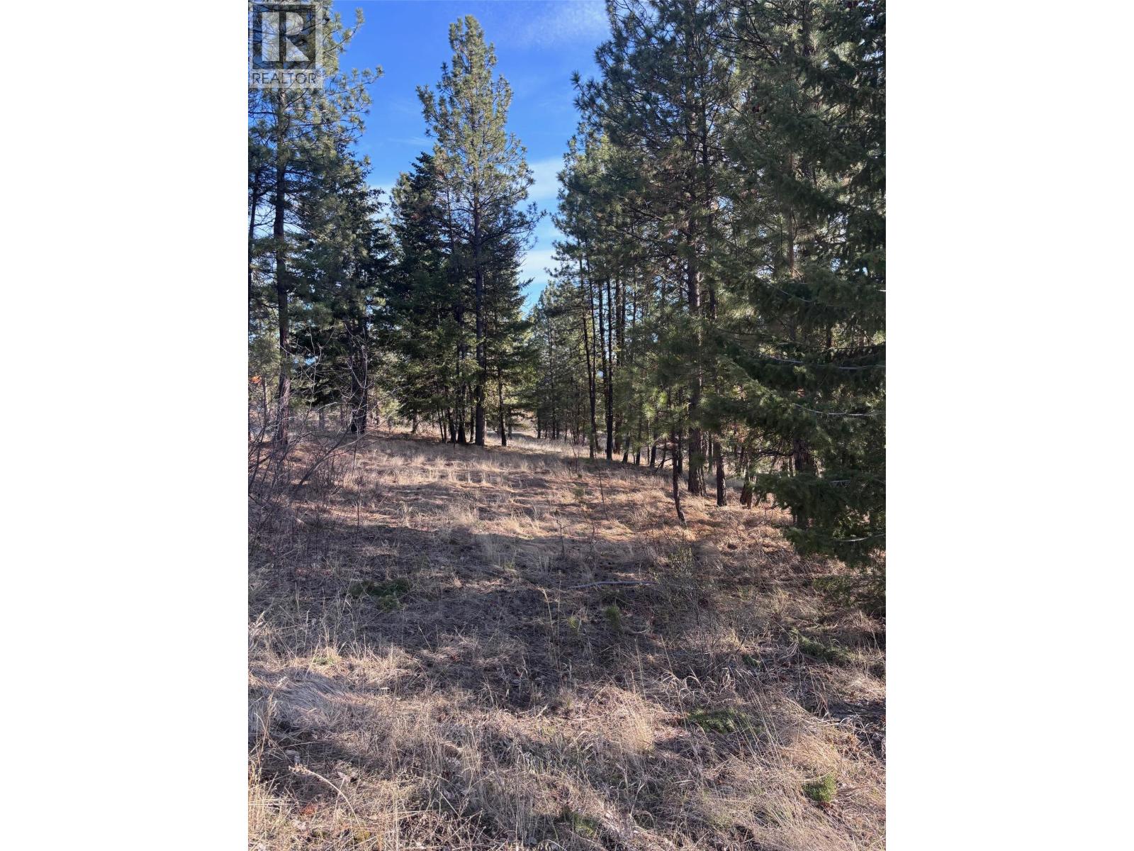 100 Cougar Court, Osoyoos