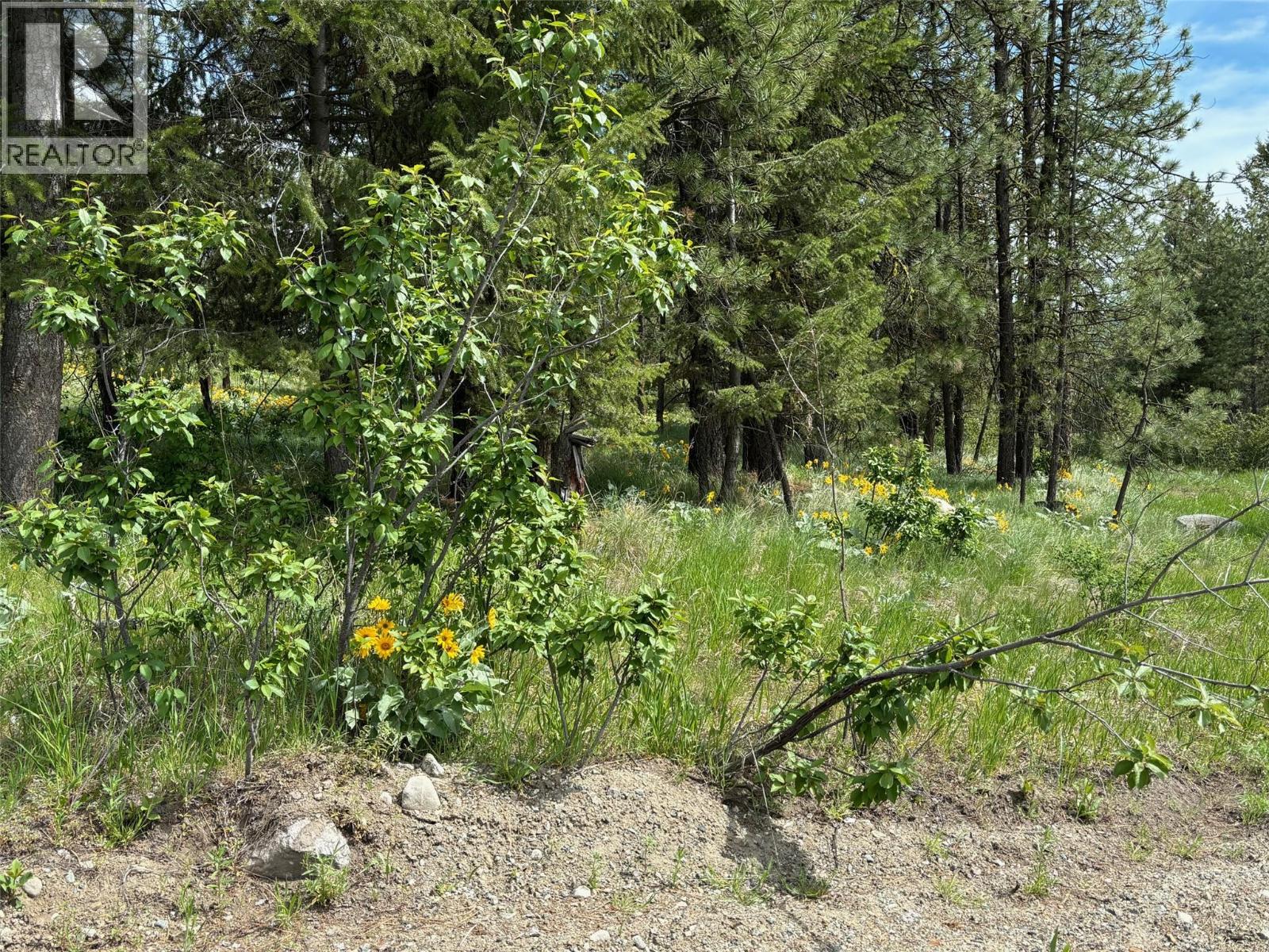 100 Cougar Court, Osoyoos