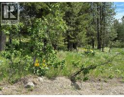 100 Cougar Court, Osoyoos, BC V0H1V6 Photo 6