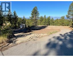 100 Cougar Court, Osoyoos, BC V0H1V6 Photo 8