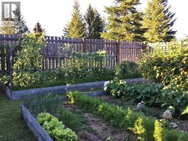 2916 BARRIERE LAKES Road - 40