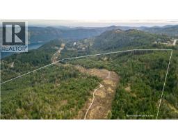 Block 1241 Malahat (off) Hwy, Malahat, BC V0R2W3 Photo 15