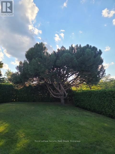 14 JEREMY PLACE - 36