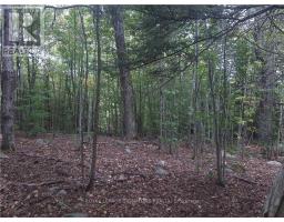 2800 Ardoch Road, Frontenac, ON K0H2T0 Photo 12