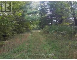 2800 Ardoch Road, Frontenac, ON K0H2T0 Photo 14