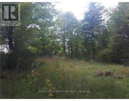 2800 Ardoch Road, Frontenac, ON K0H2T0 Photo 15