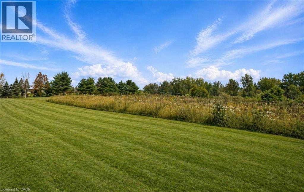 Expansive lawn with a gentle slope and natural grass strip bordering a line of mature trees