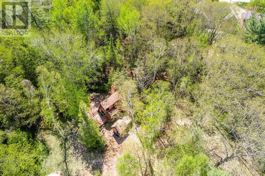 56 BIRCH TRAIL - 38