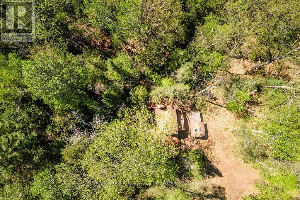 56 BIRCH TRAIL - 41