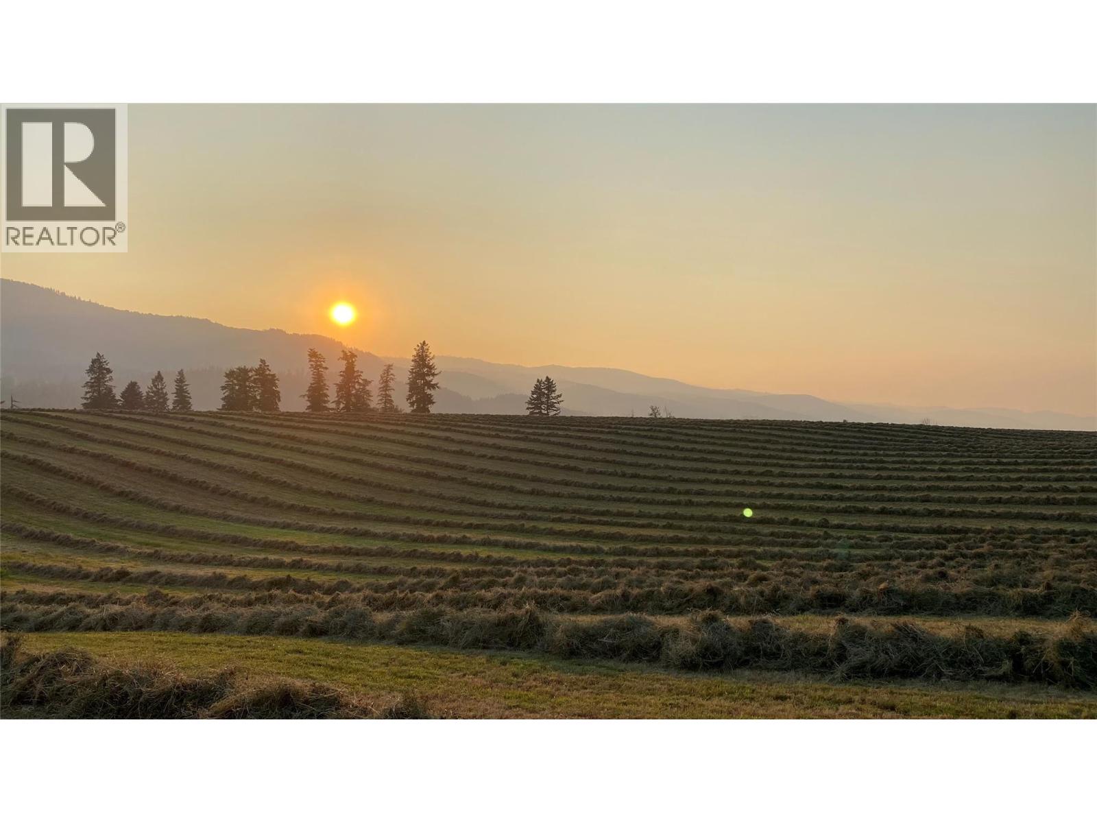 5111 Dunn Lake Road - 20