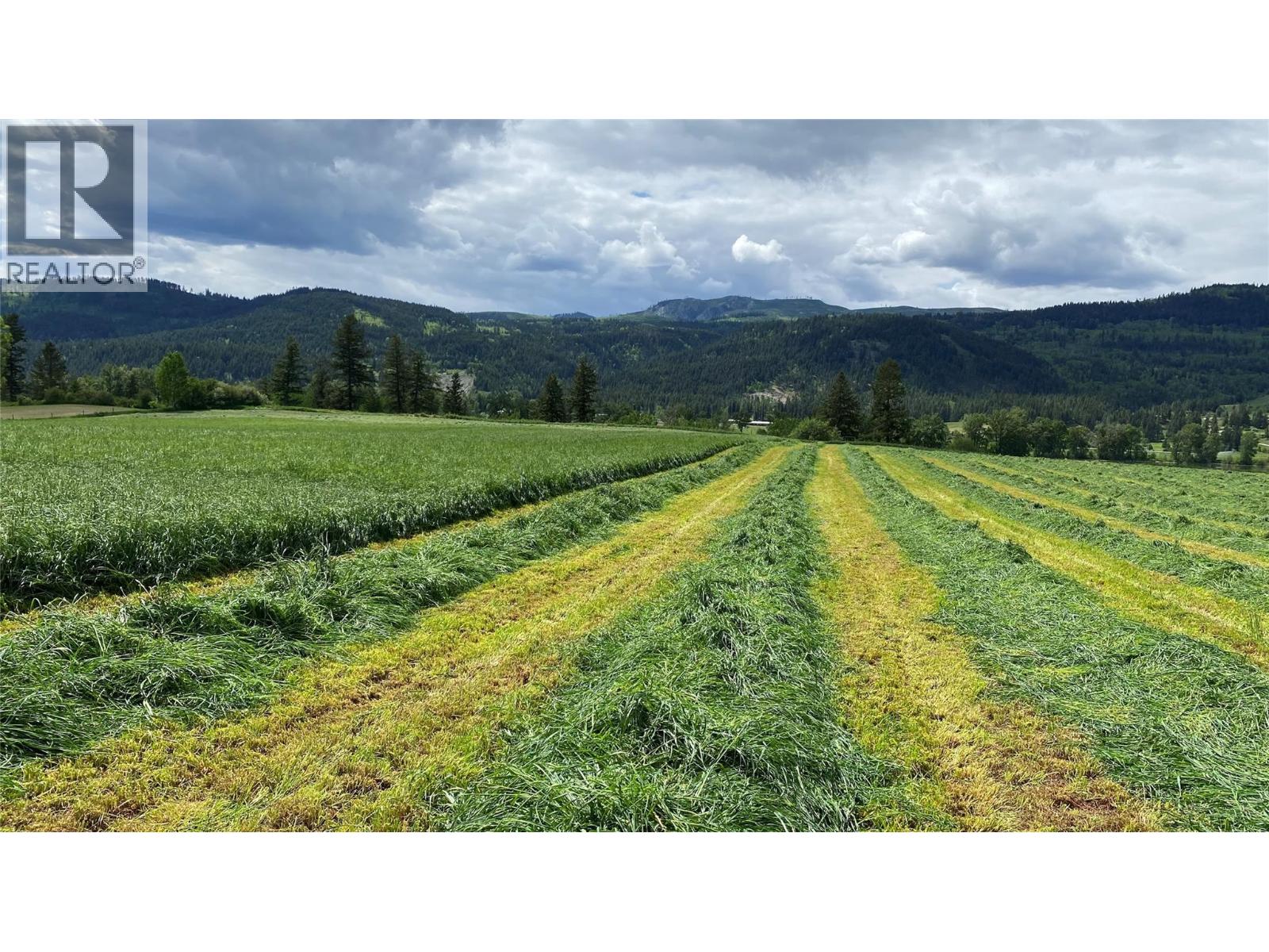 5111 Dunn Lake Road - 4