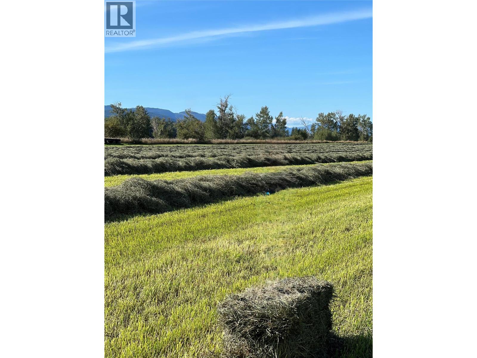 5111 Dunn Lake Road - 3