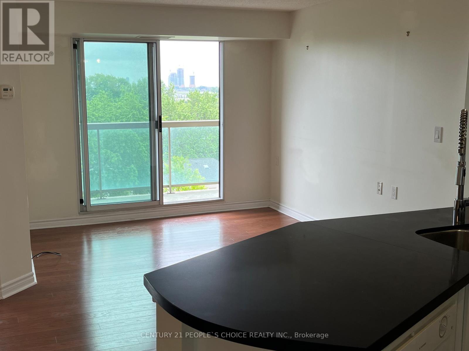#603 935 SHEPPARD AVENUE W - 27