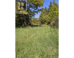 Pl9c15 Assiginack, South Bay Mouth, ON P0P1Z0 Photo 11