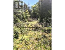 Pl9c15 Assiginack, South Bay Mouth, ON P0P1Z0 Photo 16