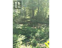 Pl9c15 Assiginack, South Bay Mouth, ON P0P1Z0 Photo 17