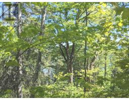 Pl9c15 Assiginack, South Bay Mouth, ON P0P1Z0 Photo 18