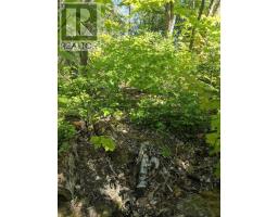 Pl9c15 Assiginack, South Bay Mouth, ON P0P1Z0 Photo 19