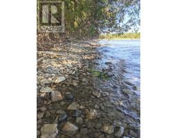 Pl9c15 Assiginack, South Bay Mouth, ON P0P1Z0 Photo 24