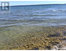 Pl9c15 Assiginack, South Bay Mouth, ON P0P1Z0 Photo 26