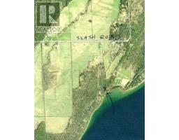 Pl9c15 Assiginack, South Bay Mouth, ON P0P1Z0 Photo 6