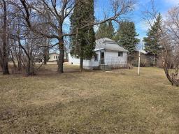 263 Griffin Street, Treherne, MB R0G2V0 Photo 33