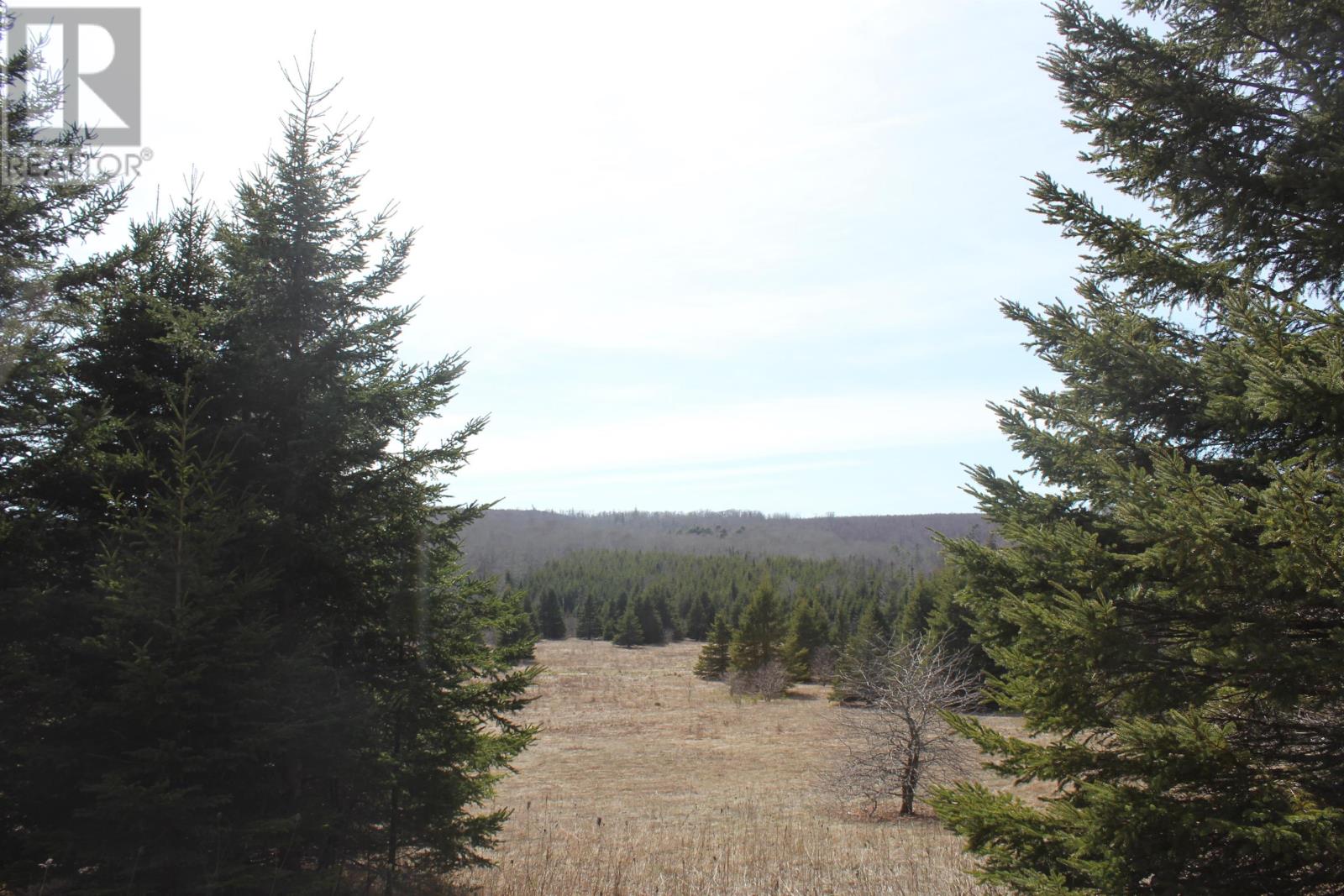 Lot 25-1 Dixon Road — photo 6