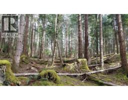 A Millicheap Rd, Lasqueti Island, BC V0R2J0 Photo 10
