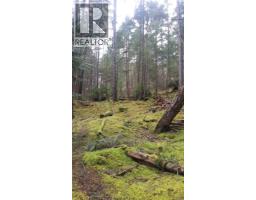 A Millicheap Rd, Lasqueti Island, BC V0R2J0 Photo 6