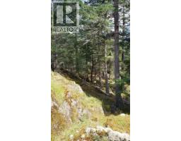 A Millicheap Rd, Lasqueti Island, BC V0R2J0 Photo 7