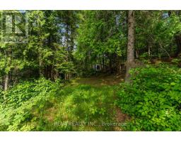 35532 Highway 28 Highway, Carlow/mayo, ON K0L2M0 Photo 17