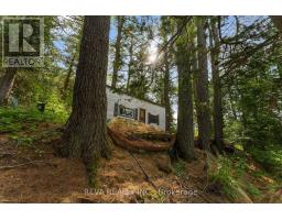 35532 Highway 28 Highway, Carlow/mayo, ON K0L2M0 Photo 18