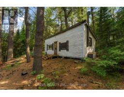 35532 Highway 28 Highway, Carlow/mayo, ON K0L2M0 Photo 6