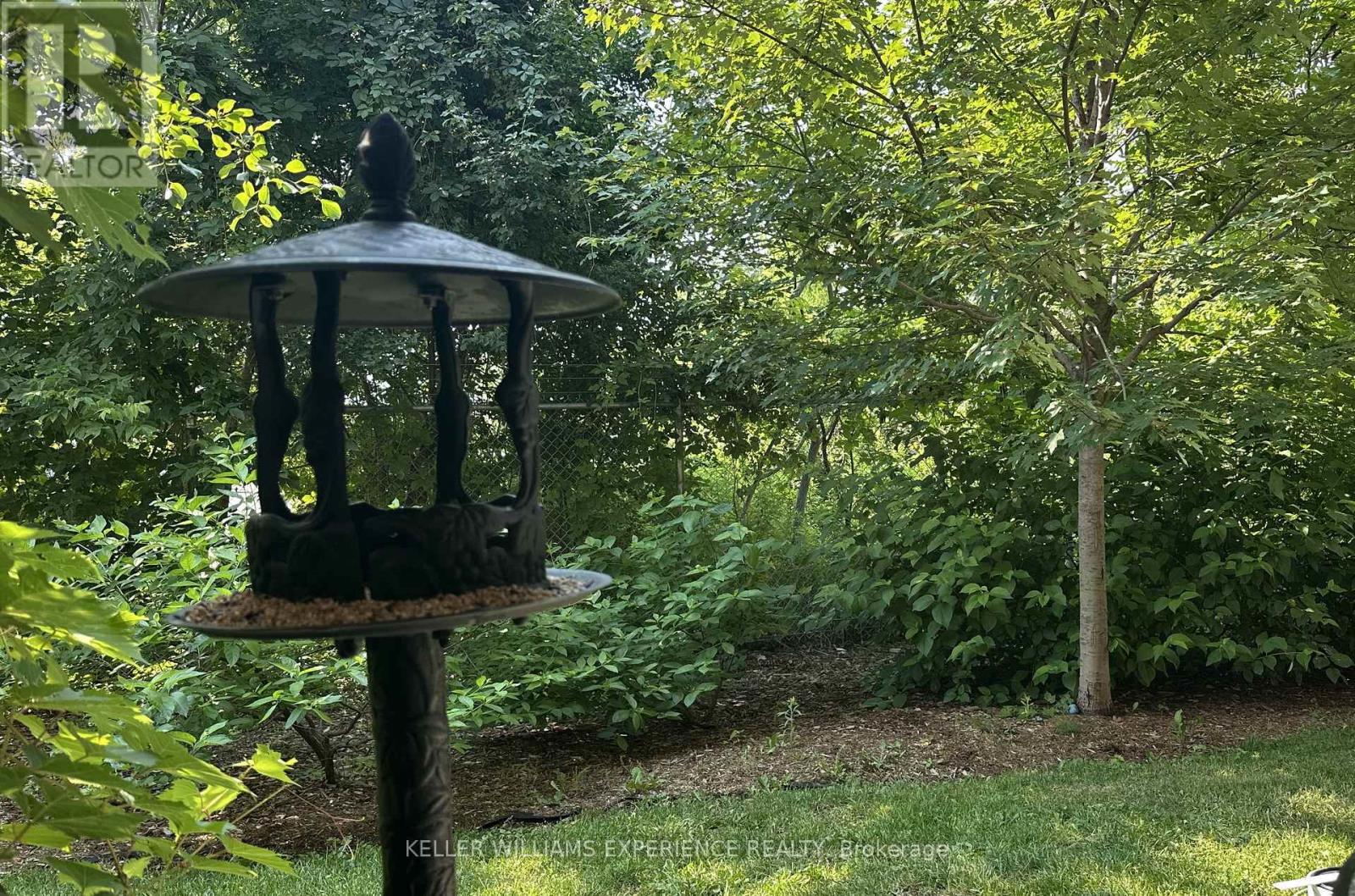 Patio View Summer 2025