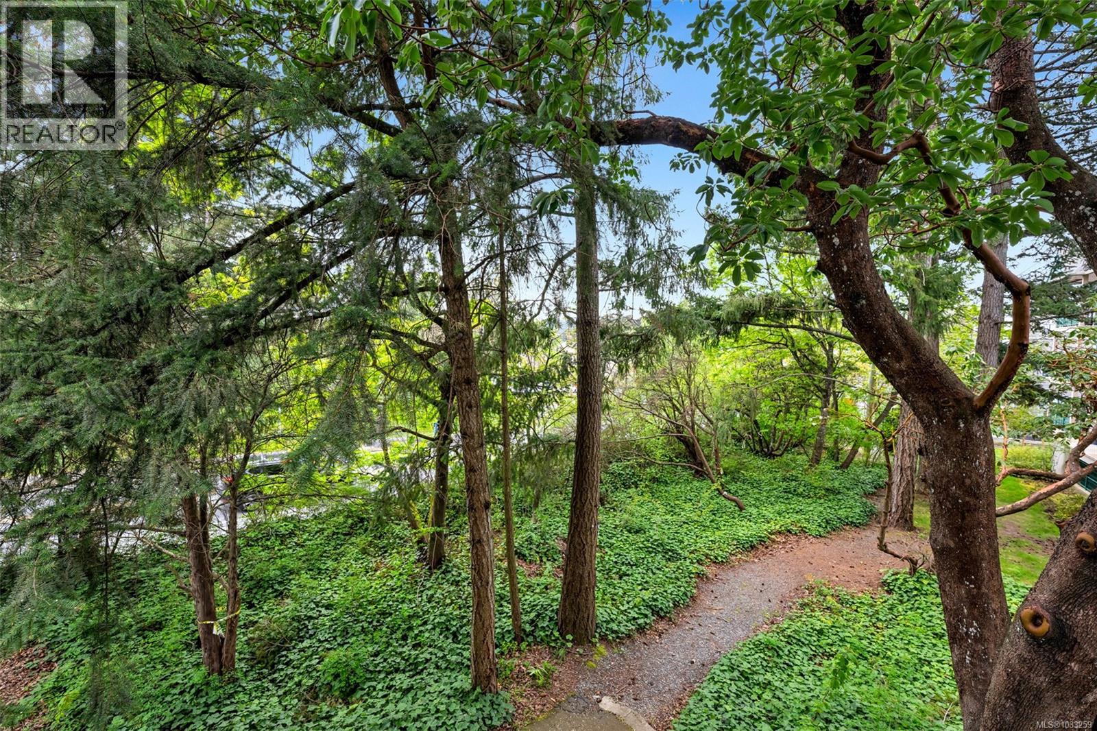 #112 290 Island Hwy - 4