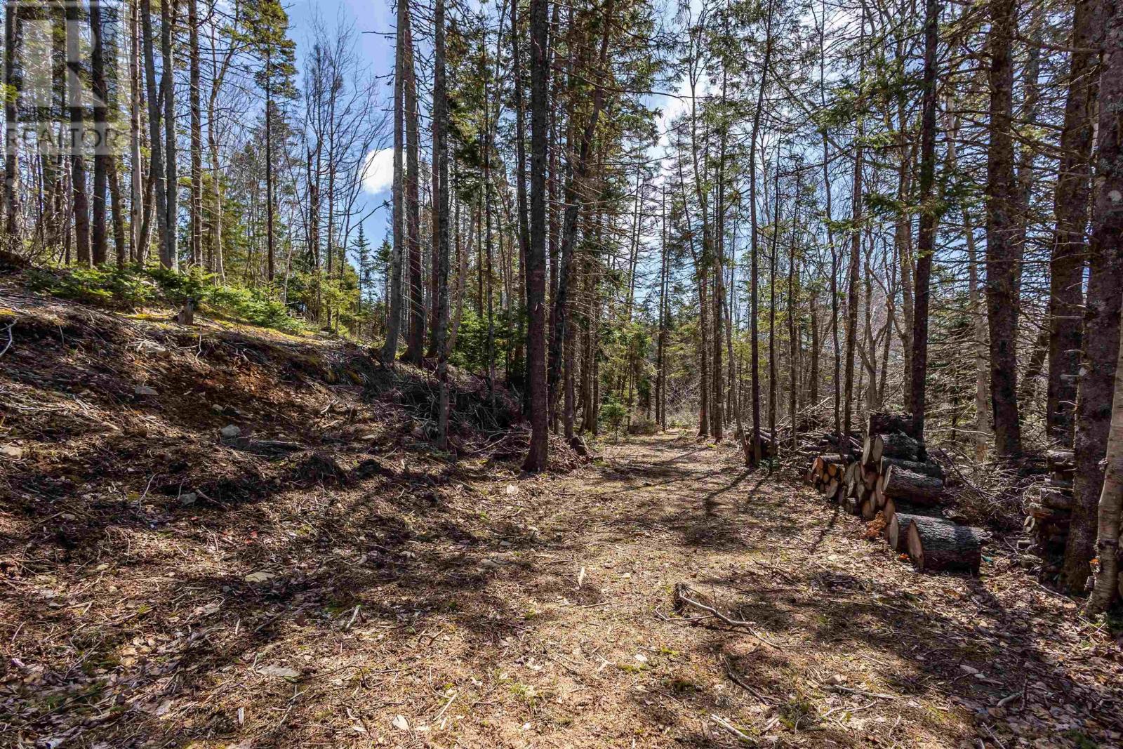 Property 3 of 7 of Lot 1 327 Gabarus Highway
