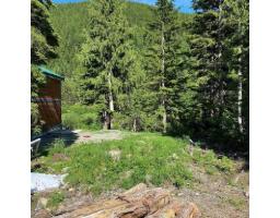 47065 Snowmist Drive, Mission, BC V0M1A1 Photo 7