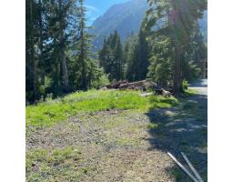 47065 Snowmist Drive, Mission, BC V0M1A1 Photo 8